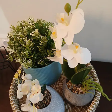 דירה Salvia סלוניקי