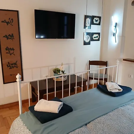 Salvia *