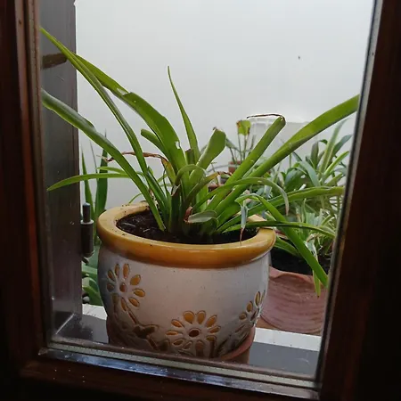 Apartman Salvia Szaloniki