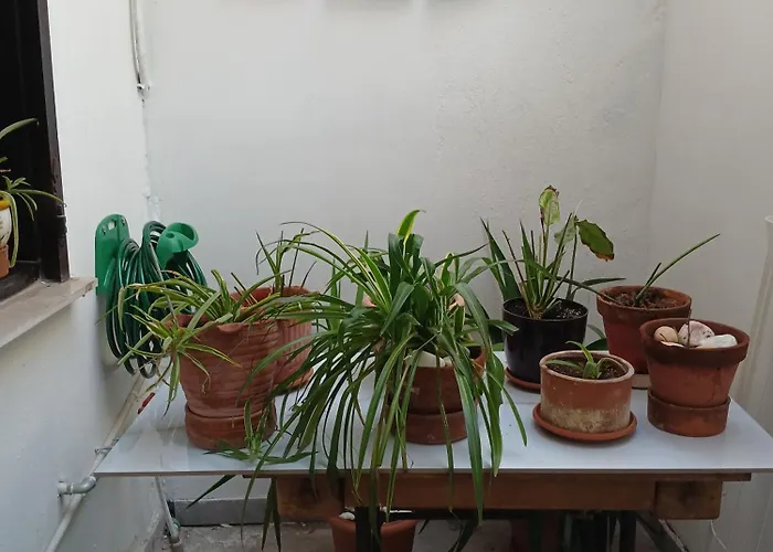 Salvia Apartman Szaloniki