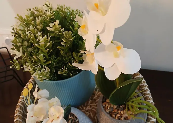 Apartman Salvia Szaloniki